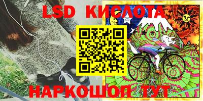 СК Бузулук