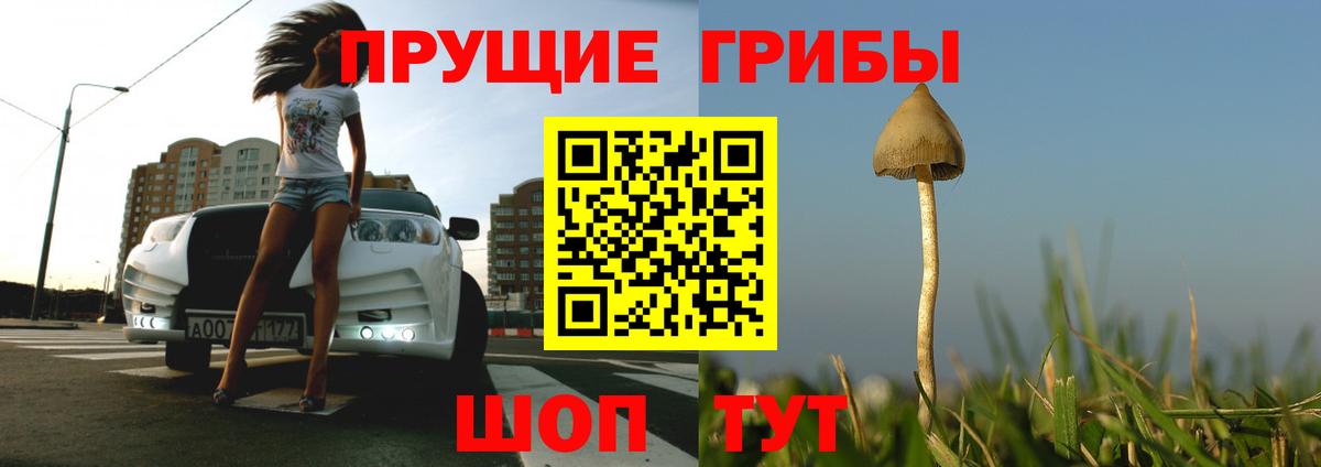 Галлюциногенные грибы мухоморы  купить  сайты  Вход с VPN  Пугачёв  Галлюциногенные грибы Cubensis 